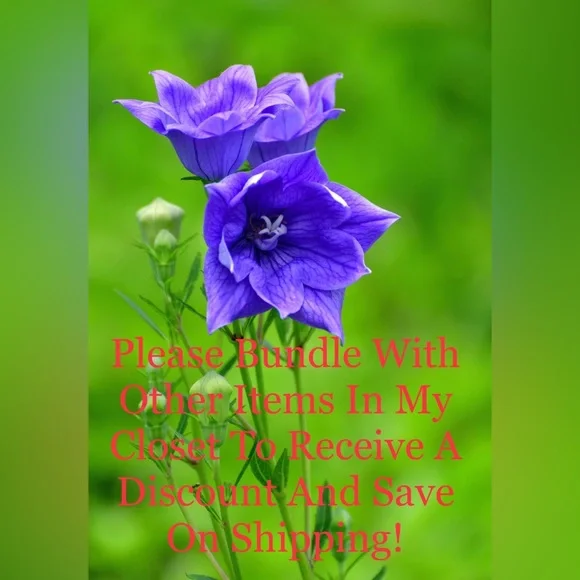 Aeropostale Men’s Spell Out White Full-zip Hoodie Sweater Shirt Jacket Size M - Picture 11 of 11